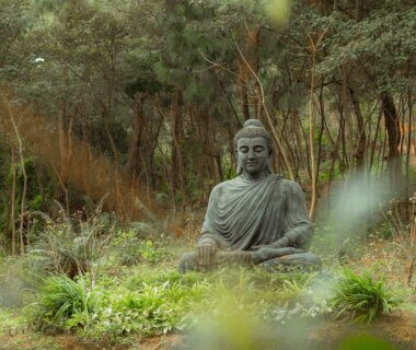 A person meditating with their eyes closed, with a soft glow radiating from their third eye area.